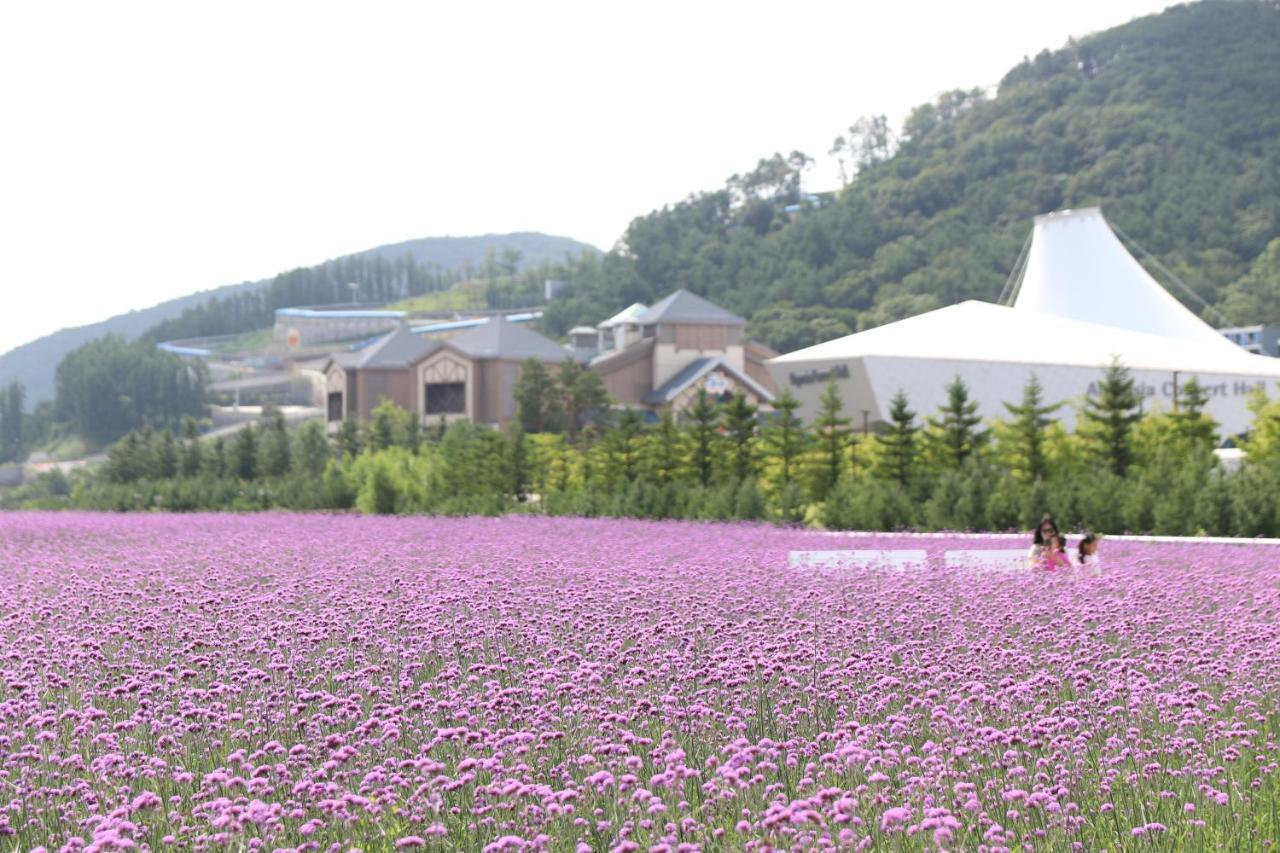 Intercontinental Alpensia Pyeongchang Resort By Ihg Exterior photo